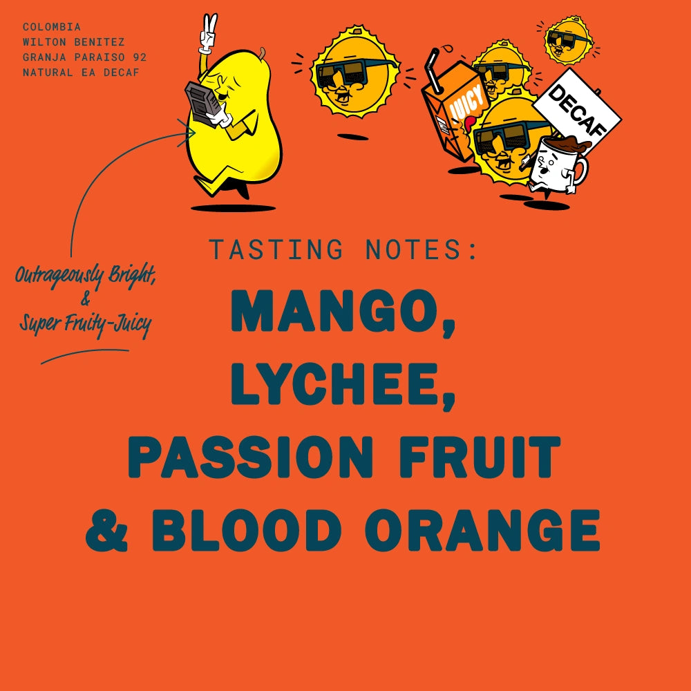 DECAF: COLOMBIA WILTON BENITEZ GRANJA PARAISO 92 NATURAL EA DECAF