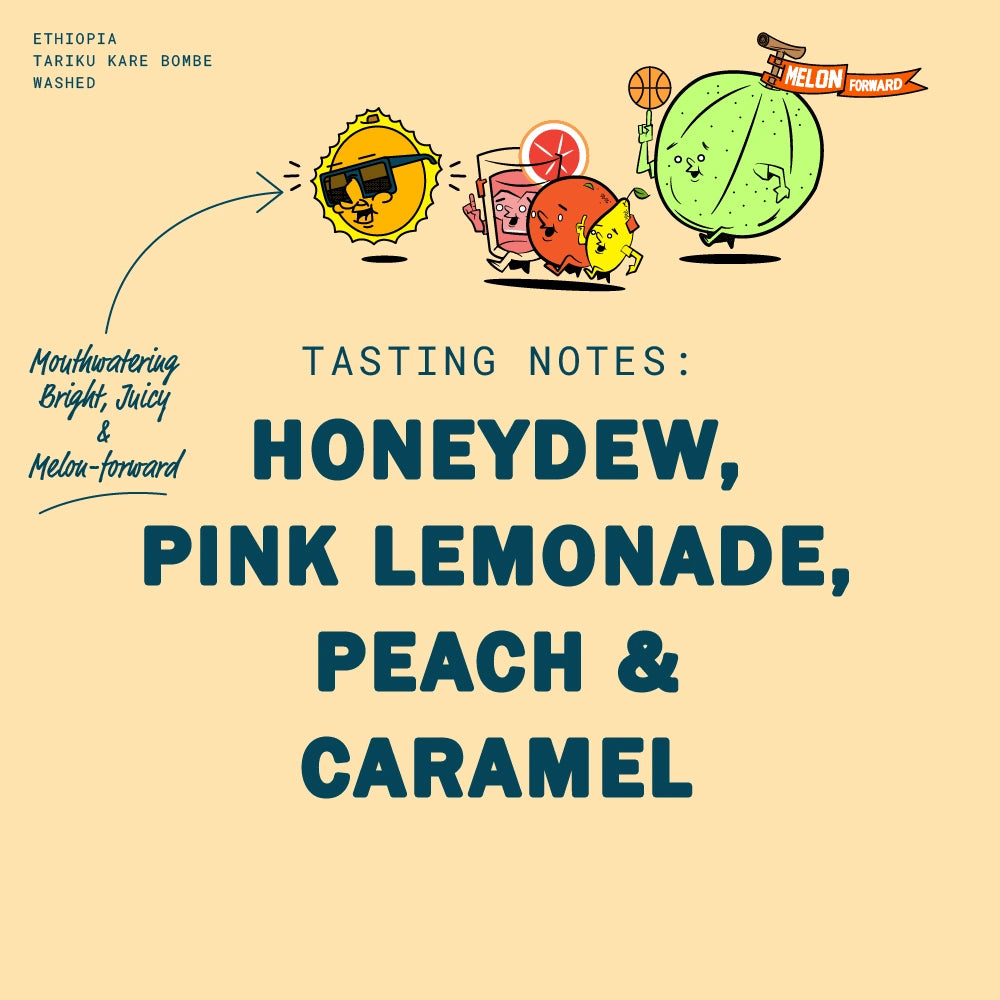 ETHIOPIA TARIKU KARE BOMBE WASHED