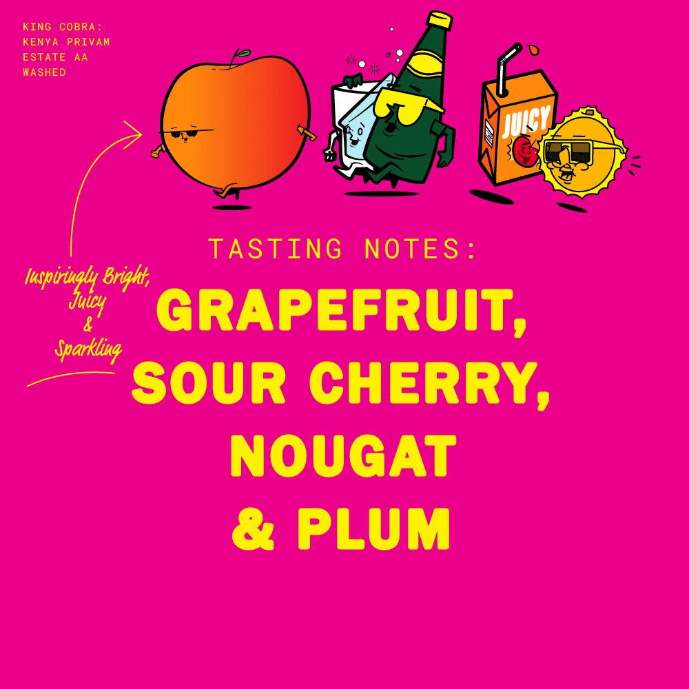 KING COBRA: KENYA PRIVAM ESTATE AA WASHED