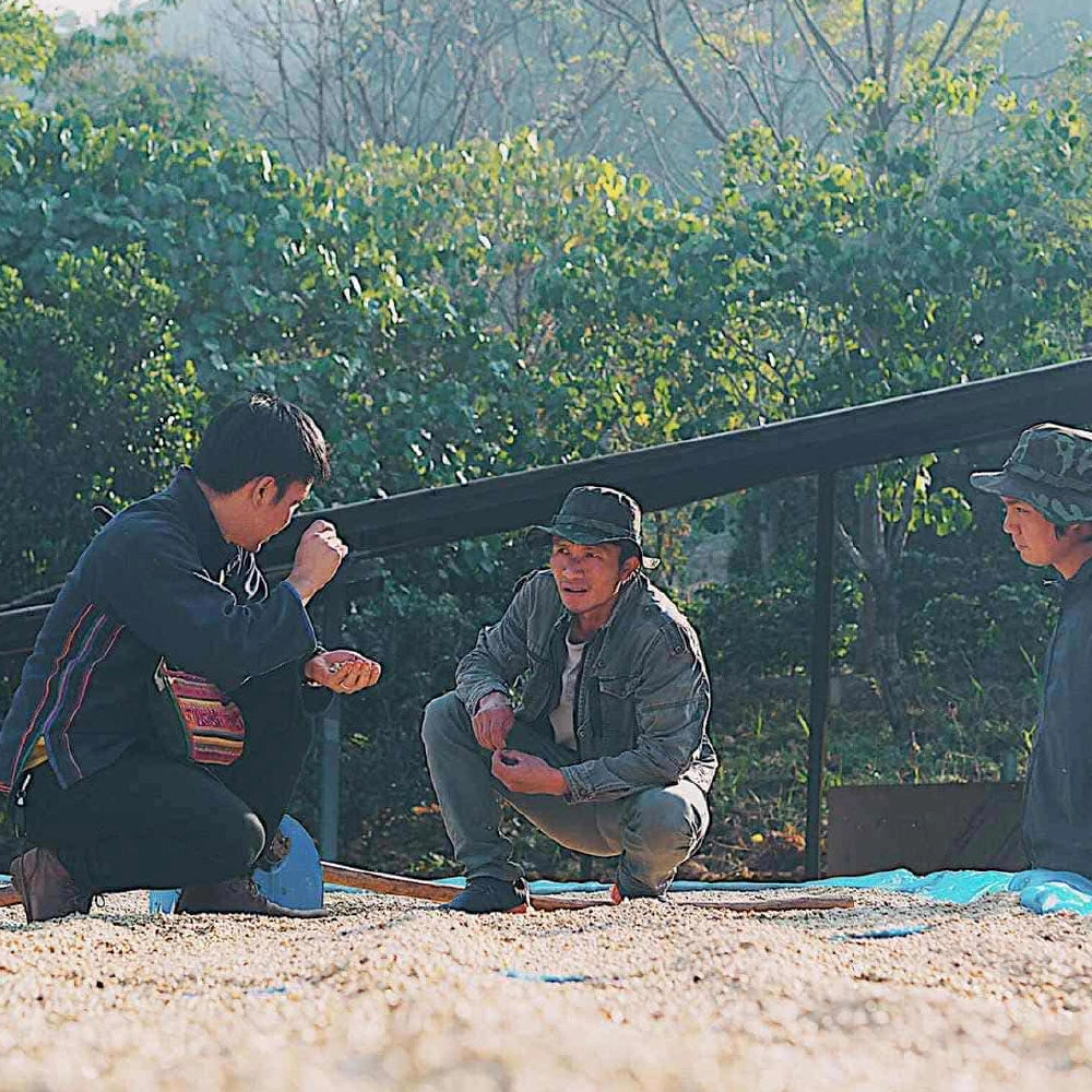 THAILAND CHIANG RAI WUIYUE FAMILY NATURAL