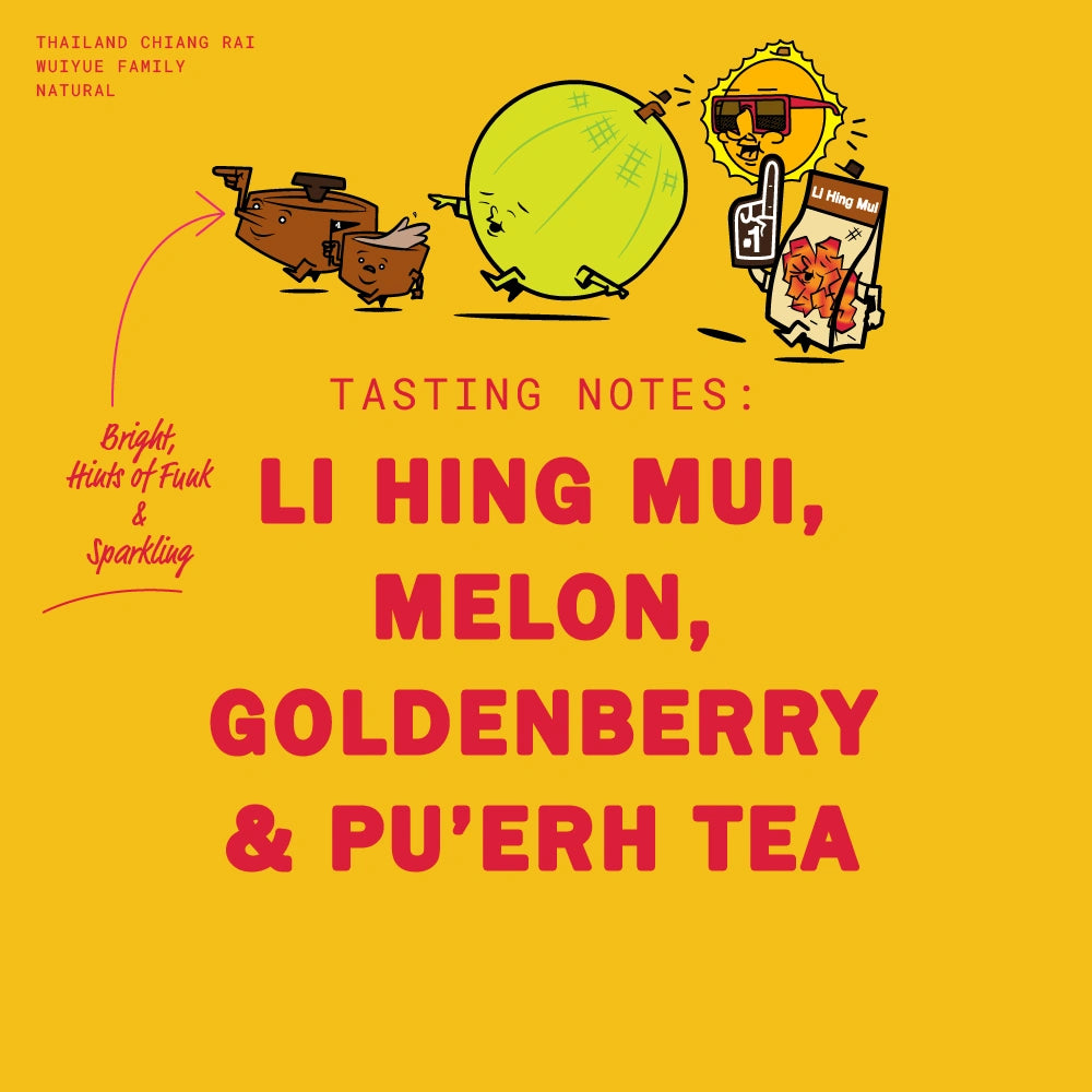 THAILAND CHIANG RAI WUIYUE FAMILY NATURAL